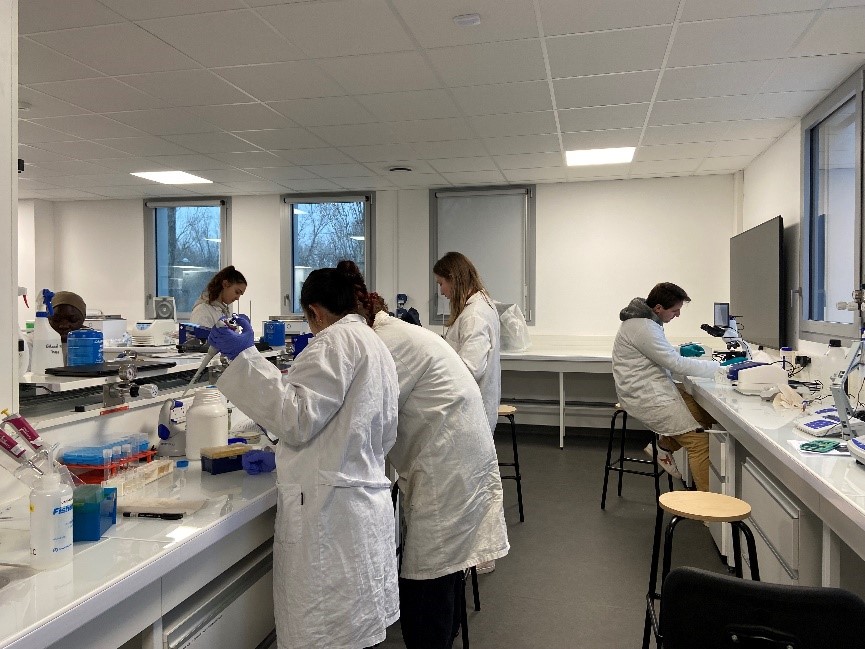 Etudiants en TP Biotech